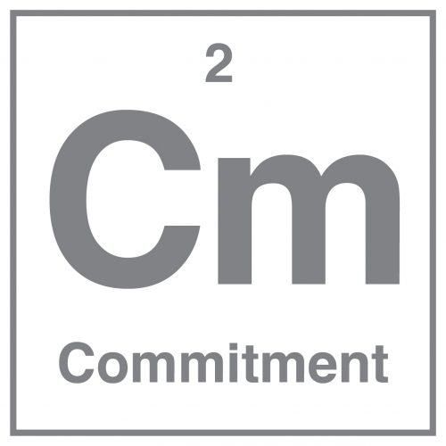 Commitment Icon, Quality Practice Project (QPP)